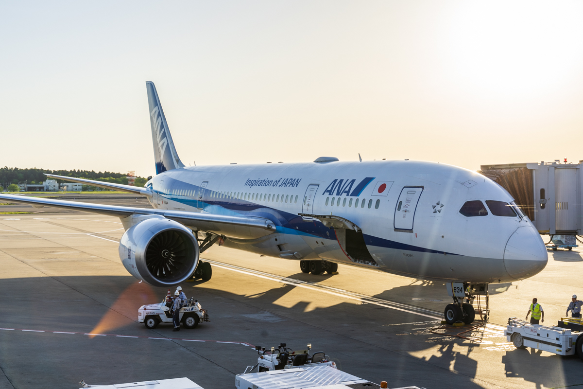 ANA B787-8