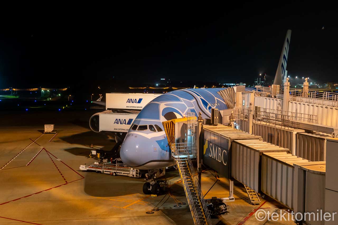 ANA A380