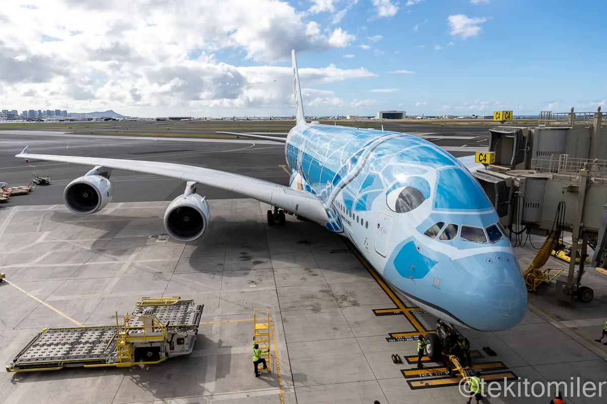 ホノルルのANAラウンジから見たフライングホヌ