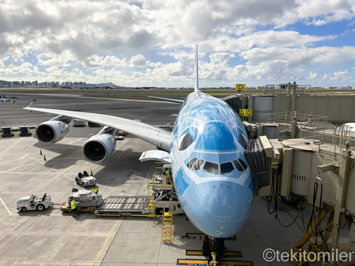 ホノルルのANAラウンジから見たフライングホヌ